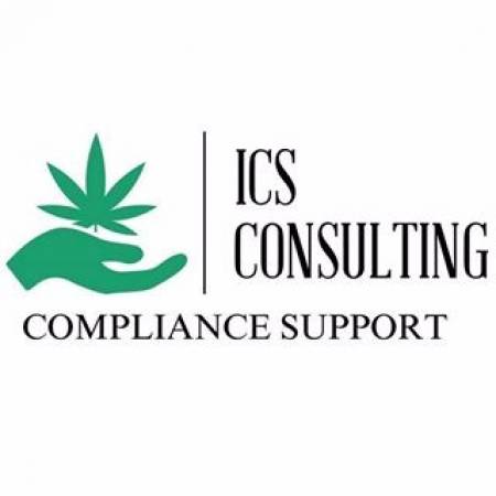 ICS Consulting Services