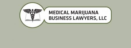 David Kotler - Medical Marijuana Business Lawyers