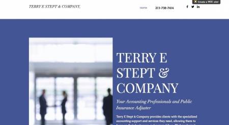 Terry E Stept Co, CPA