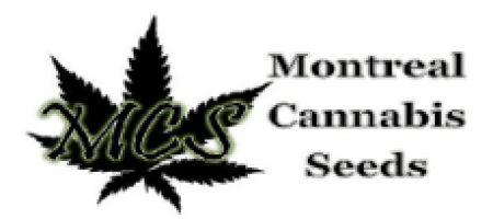 Montreal Cannabis Seeds