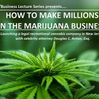 How To Make Millions in The Marijuana Business 2021