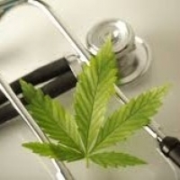 Medical Cannabis Exploring the Myths and Facts of Cannabis Therapies 2021