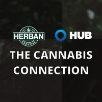 Medical Cannabis: Its New Role in the Workplace