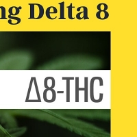 Masterclass: What is Delta 8, How to Use it and Legal/Regulatory Update
