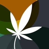 World CBD Awards 2022