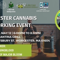 Worcester Cannabis Networking Event 2022