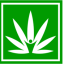 The Cannabis Job Board