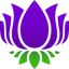 Purple Lotus