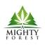 A Mighty Forest