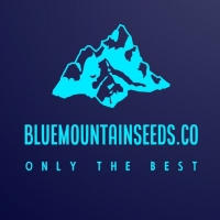 Bluemountainseeds.co