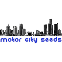 Motor City Seeds