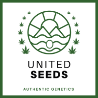United Cannabis Seeds | Buy Cannabis Seeds