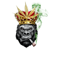 Smoking with Who