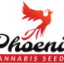 Phoenix Cannabis Seeds