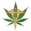 The Green Herb Dispensary