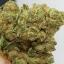 med marijuana caregivers