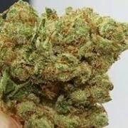 med marijuana caregivers