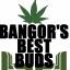 Bangors Best Buds