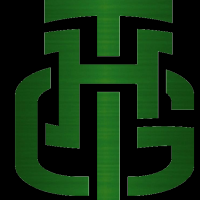 The Hangar Group Inc